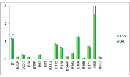 Figure  1.  B)  Relative miR-135b expression levels in  GBM-SCs.  Histogram  shows  down-