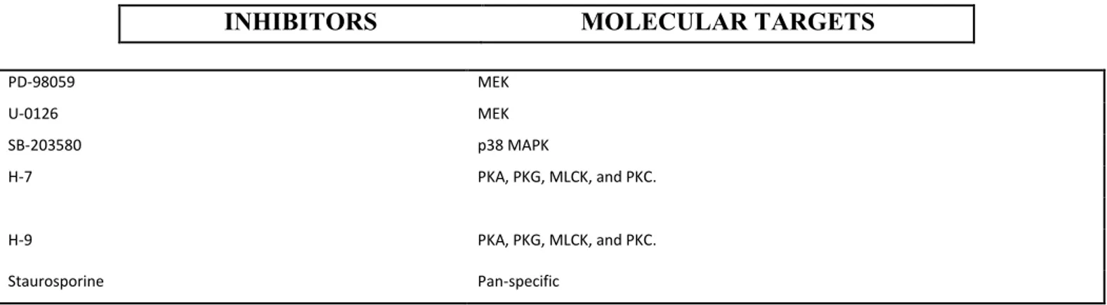 Table 1 shows the library compounds and their corresponding molecular targets. 