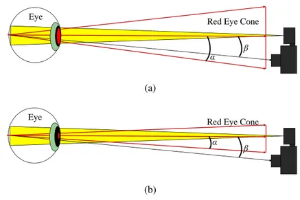 Figure 3.1 : The red eye phenomenon depends upon various factors, including the distance between the flashgun and the objective and the opening of the pupil.
