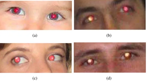 Figure 3.2 : Examples of the variability of the red eye phenomenon. Golden eyes are also visible.