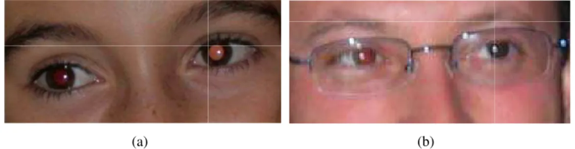 Figure 3.3 : Picture (a) shows two very different red eyes; picture (b) shows one red eye along with a regular one.