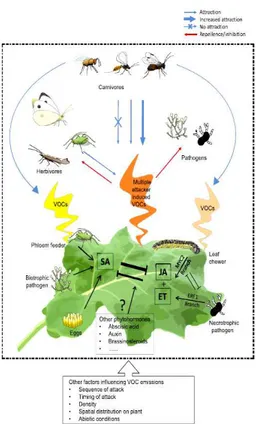 Fig.  2  Volatile  organic  Compounds  (VOCs)  emitted  by  plant  as  response  to different attacks