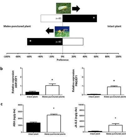 Figure  3.  Plant  responses  induced  by  N.  tenuis  males.  (a)  Response of B. tabaci and E