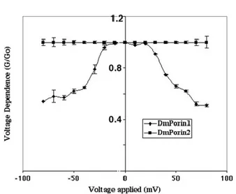 Figure 12: Voltage dependence  G/G0 comparison of DmVDAC1  and  DmVDAC2. Voltage  dependence  G/G0  comparison  of  DmVDAC1  and DmVDAC2