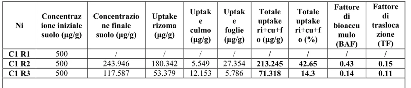 Tabella 15. Valori di assorbimento dei metalli da parte di A. donax al settimo mese di impianto