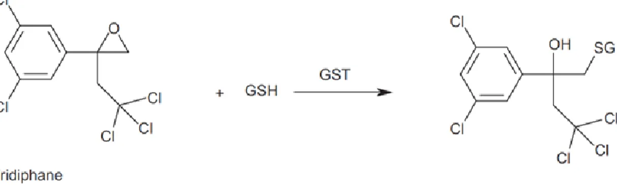Fig. 1.12 Conjugation reaction of tridiphane to GSH catalysed by GST.