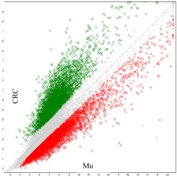 Figure 17. Scatter Plot Graph 