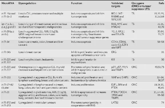 Tabella  1.  miRNA  che  funzionano  come  oncogeni  ed  oncosoppressori  nei  tumori 