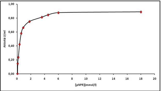 Figura 6.7 –  Attività specifica relativa per l’ α -L-ramnosidasi in funzione della  concentrazione di substrato