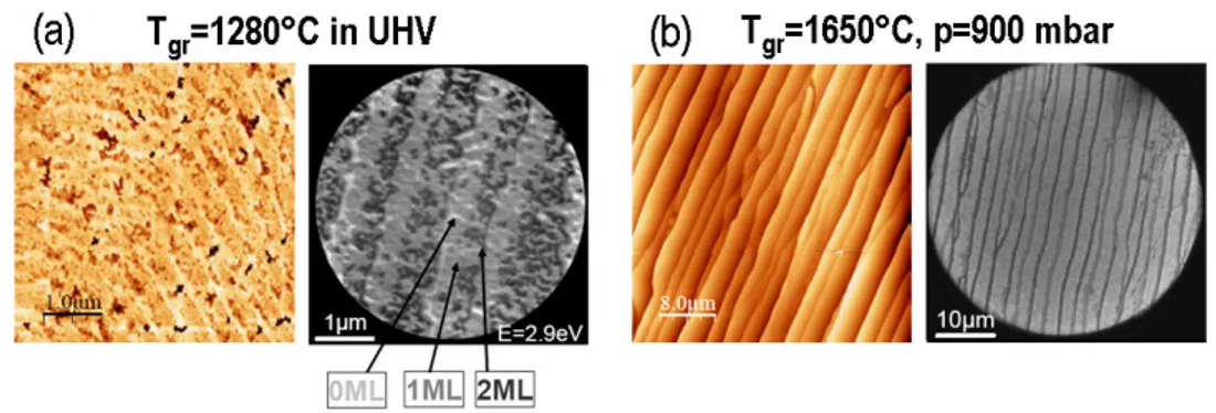 Figure 1.12:  AFM  morphologies  and  low  energies  electron  diffraction  images  (left 