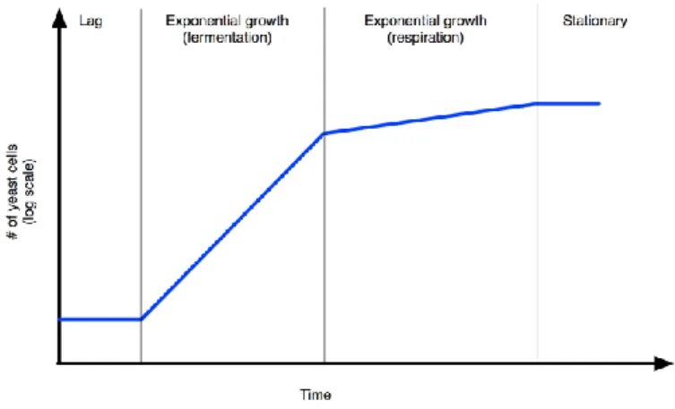 Fig. 1 Growth curve of S. cerevisiae culture