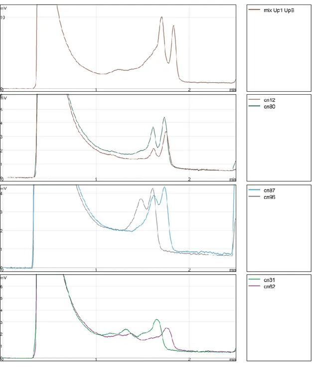 Fig. 7 DHPLC profiles