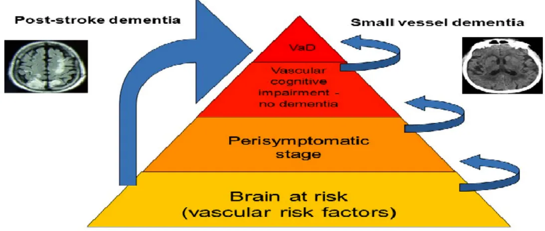 Figure 4. Different mechanisms and course leading to vascular dementia.  