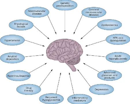 Figure 5. Relevant medical history in the clinical assessment of vascular cognitive impairment