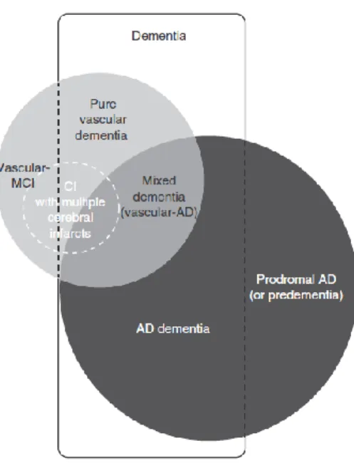 Figure 1 Links between the main entities associated with Vascular Cognitive Impairment and Alzheimer’s disease