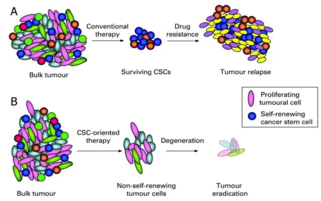 Figure  5.  (A)  Conventional  therapy  was  mainly  addressed  towards  the  more 