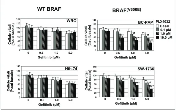 Figura 11.  Effetto dell’inibizione del BRAF sulla risposta della cellule di carcinoma 