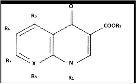 Figura 4-2. Scheletro &#34;4-chinolone&#34; (4-oxo-1,4 diidrochinolone) 