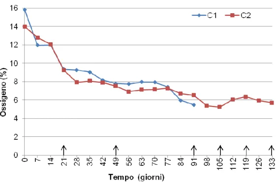 Fig. 7 – Effetto del tasso di aerazione applicato durante la biossidazione sull'andamento  della  concentrazione  di  ossigeno  durante  la  maturazione