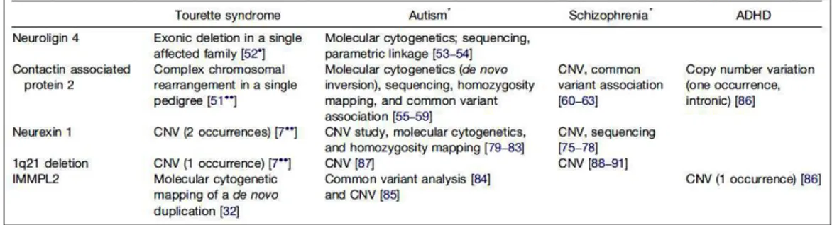 Tabella  1.3  mostrante  un  set  di  geni  candidati  per  tre  diverse  patologie  neuropsichiatriche:  Sindrome  di  Tourette  (TS),  Autismo  (ASD),Schizofrenia,  Deficit  di  attenzione  ed  iperattività(ADHD) [7]
