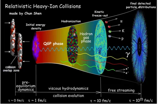 Figure 2.3: Evolution of a relativistic heavy ion collision through its many dynamical stages