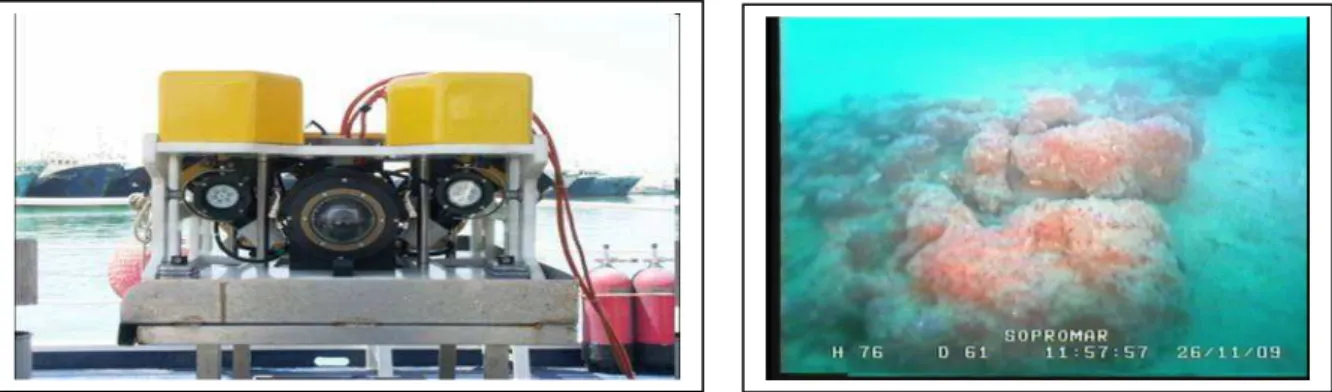 Fig. 2.20 Il ROV utilizzato nei rilievi nell’offshore etneo (sinistra) ed una foto scattata dal ROV a 61  m di profondità 