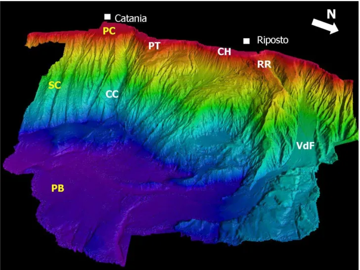 Fig.  3.3  Immagine  3D  dell’offshore  etneo  (esagerazione  verticale  2x)  con  i  domini  fisiografici  individuati  (in  bianco) VdF:Valle di Fiumefreddo; RR: Ridge di Riposto; CH: Fan del Chiancone; PT: Plateau delle Timpe;  CC:  Canyon  di  Catania)