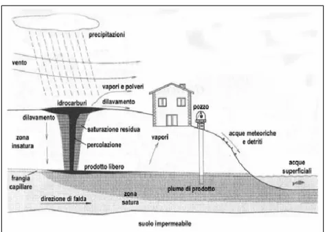 Fig. 1. Distribuzione degli idrocarburi nei sistemi idrici. 