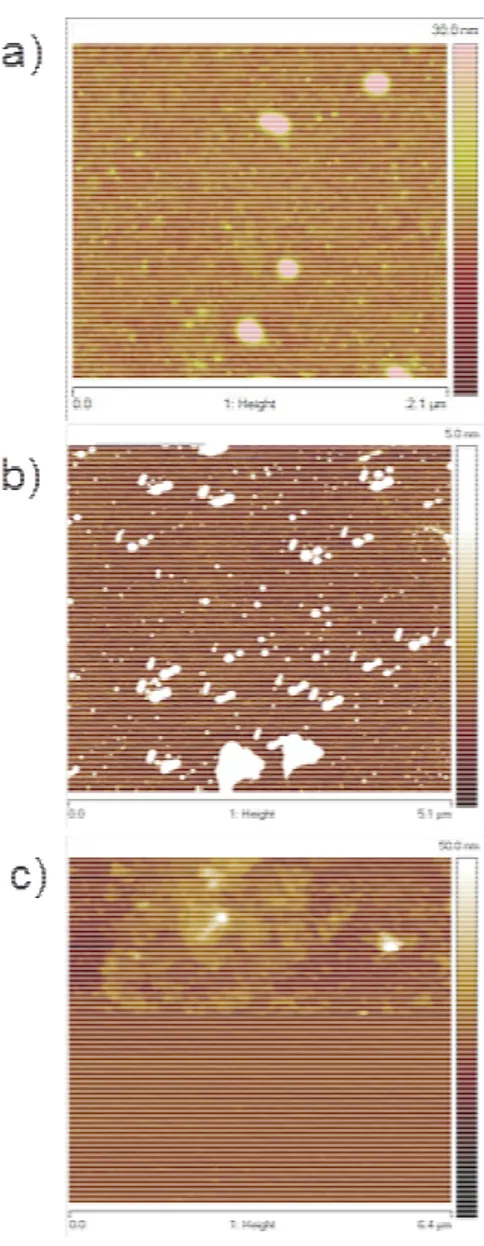 Figure 2-2 AFM micrographs of Si substrates after dip coating in  the solution composed of the molecule and mesitylene (a) and 