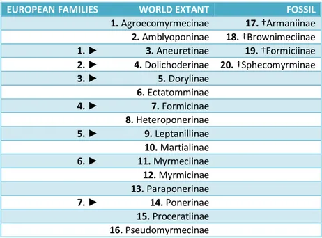 TABLE  1  –  EXTANT  AND  EXTINCT  SUBFAMILIES OF  FORMICIDAE  (ACCORDING  TO 