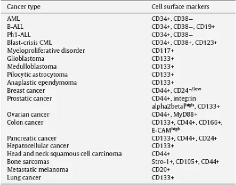 Table 1. Cell surface markers for identification of CSCs [37]. 