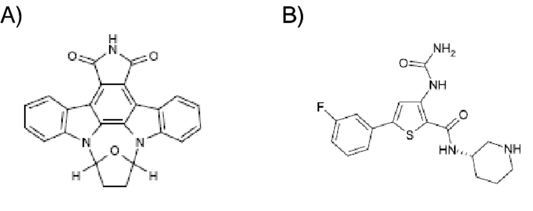 Figure  7.  Chk1  inhibitors.  Structures  of  the  Chk1  inhibitors  SB218078  (A)  and  AZD7762  (B) 