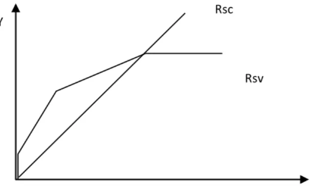 Figura 3.3 - Frontiere di produzione Dea-Rsc e Dea-Rsv 