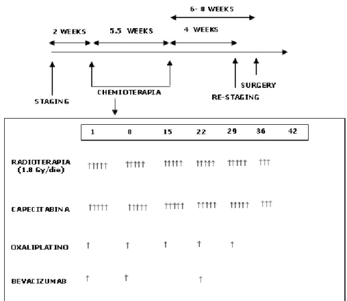 Tabella 1. Dose di rt, bevacizumab, oxaliplatino e capecitabina