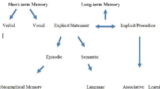 Figure 1:  Memory Model  