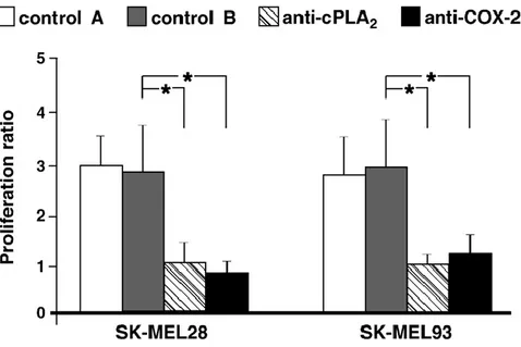 Fig. 3. Effetti dell'elettroporazione anticorporale d'anti-cPLA 2  e anti-COX-2 sulla proliferazione della coltura cellulare di melanoma 