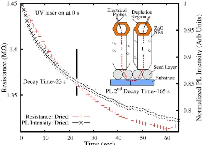 Figure  1.16:  Comparison  of  the  resistance  and  555nm  PL  transient  for  ZnO  NRs 