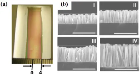 Figure 1.29: (a) Image of a sample ZnO NRs on a Si substrate patterned with an  ∼8 