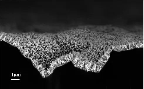 Figure  2.5:  Cross  section  view  of  ZnO  NRs  grown  by  CBD  on  very  rough  Si 