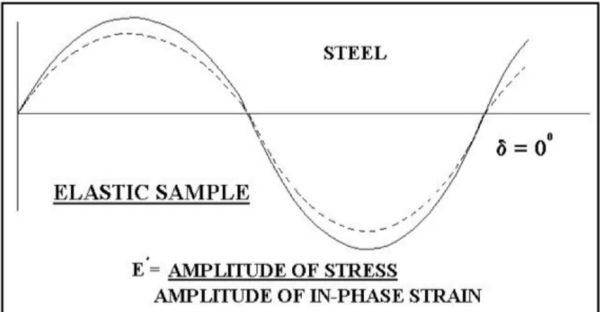 Figura 37 - Risposta in fase di un sistema elastico 