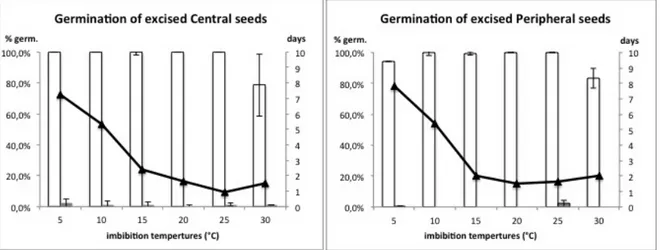 Figure  14  Germination of central and peripheral excised seeds of  Chrysanthemum coronarium  var 