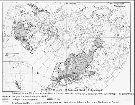 Figure 8 Leucanthemum vulgare distribution according to (Meusel 1965). 