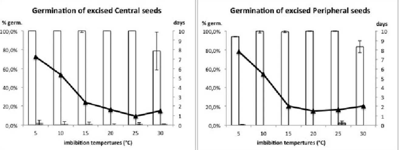 Figure  17  Germination  of  central  and  peripheral  excised  seeds  of  Chrysanthemum  coronarium  var 