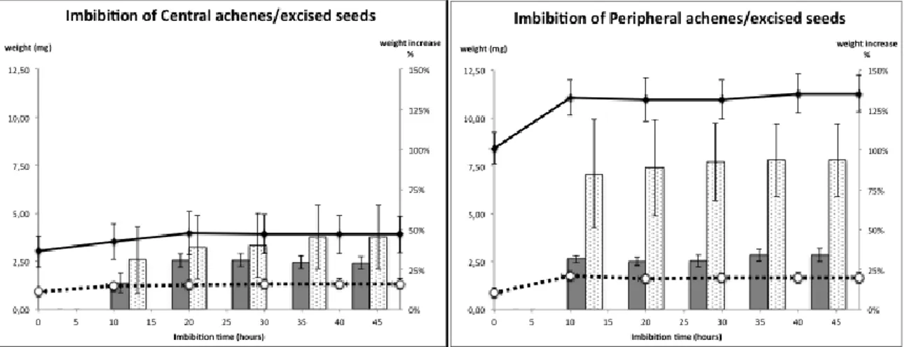 Figure  19  Chrysanthemum  coronarium  var.  concolor  seed  imbibition  time  course