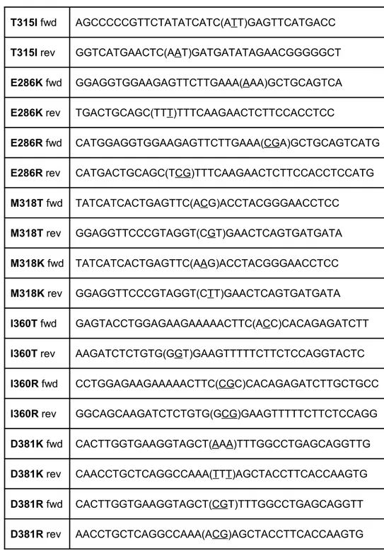 Tabella   1:   Oligonucleotidi  forward  e  reverse  utilizzati   per   generare   mutazioni  puntiformi nella sequenza di  BCR-ABL