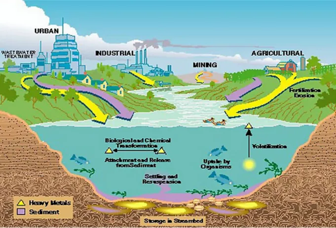 Figure 2. Sources of heavy metal pollution.