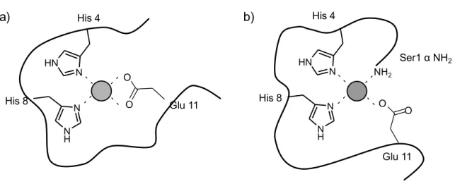 Figure  15 .  A  schematic  representation  of  the  Zn 2+   coordination  environment  in  the[ZnL]