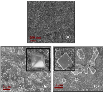 Fig. 2.11: SEM images of silver nanoparticles 