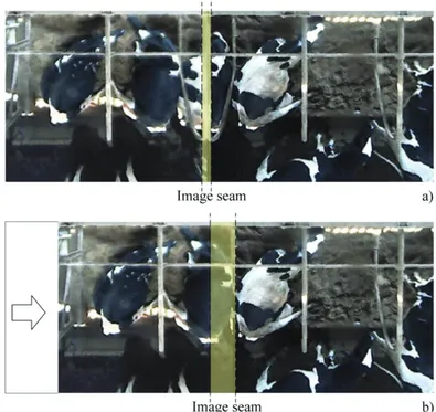 Figure 3 - Hand-made image registration process that produces the mosaicing of two cameras 