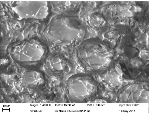 Figura H.66: micrografia ESEM ad elevato ingrandimento  eseguita su schiuma sintattica  testata in compressione ad elevata velocità di deformazione 